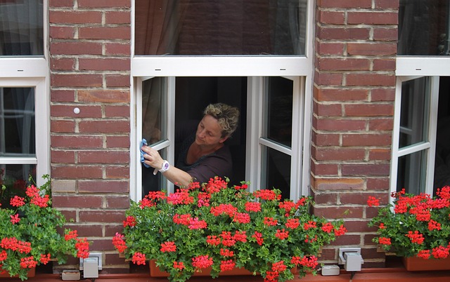 https://www.wecleannow.co.nz/wp-content/uploads/2022/07/clean-windows-g13fce2b39_640.jpg